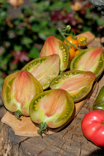 Томат Изумрудная Карамель Елены, 10 шт