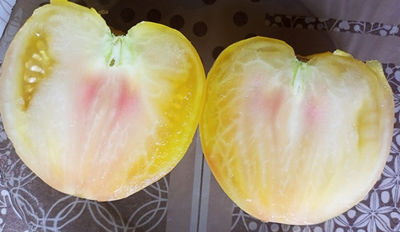 Томат Гигант лимонный