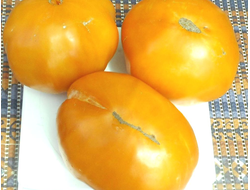 Томат Доктор Виче желтый (Dr. Wyche's Yellow)