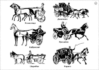 Русский язык в 8-9 классах. Языковые темы курса (14 шт), комплект кодотранспарантов (фолий, прозрачных пленок)