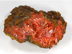 Крокоит, кристаллы на породе, Австралия, Тасмания (56*45*32 мм, 130 г) №28594