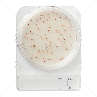 Подложки Compact Dry TC (общее бактериальное загрязнение)