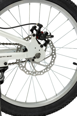 Велосипед TT231/ 1ск 20" фиолетовый рама 12"