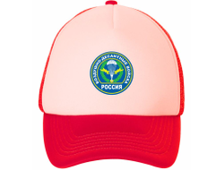 Кепка #7 ВДВ