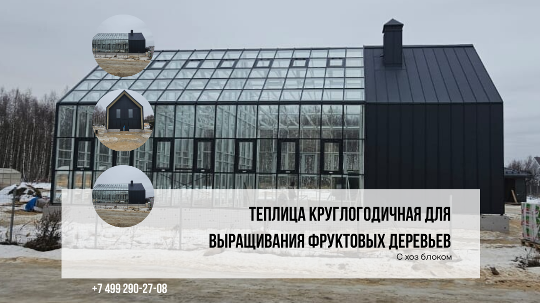 Теплица круглогодичная для выращивания фруктовых деревьев производство Красивые телицы