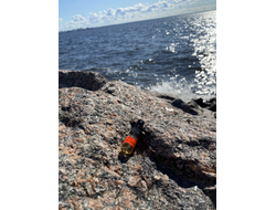 Духи НОТА: ДИКОЕ ПЛЕМЯ 2,5 мл