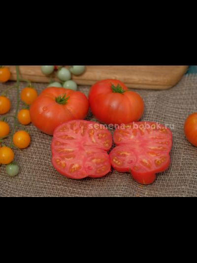 Томат Dwarf Hannah’s Prize (Гном Приз Ханны), 10 шт