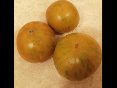 Томат Зеленый коньяк (Грин бренди, Green Brandy)