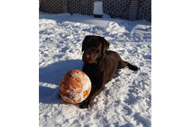 ХАННИ Февраль 2022