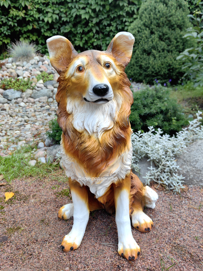 КОЛЛИ - садовая фигура 58*42см  3кг   экологичный полистоун Россия  3049/012211*  Не боится влаги и перепадов температур.