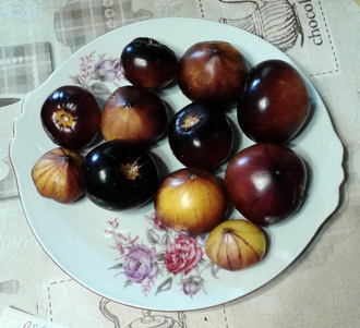 Семена томата Росомаха