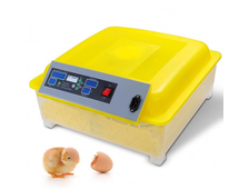 Инкубатор автоматический HHD на 54 яйца с роликовым лотком
