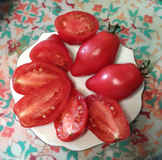 Семена томата Десперадо Гном