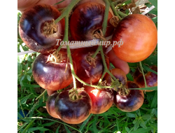 Томат Черная клубника, (Black Strawberry ) США