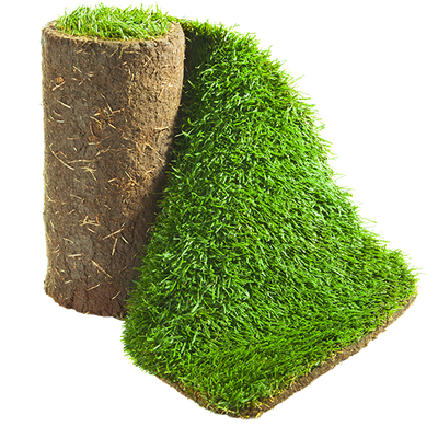 Рулонный газон "Премиум"