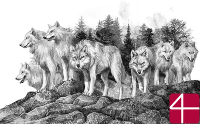 Волк по имени Странник (модификация 7)