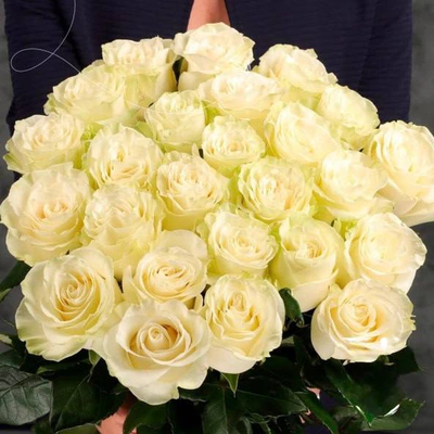25 белых голландских роз "макси"