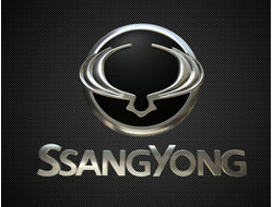 Ssang Young