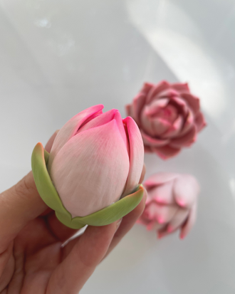 БУТОН ЛОТОСА