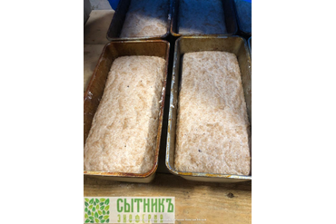 Цельнозерновое тесто для выпечки домашнего хлеба