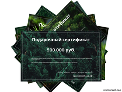 Подарочный сертификат на приобретение и посадку растений