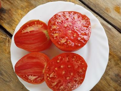 Томат Розовое сердце Пессака полосатое (Coeur Rose de Pessac Stripe )