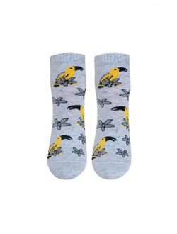 Носки женские хлопок Брестские Funny Арт. 16с1103 рис. 536