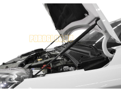 Амортизаторы капота, 2 шт. АвтоУпор для Lada Xray Хэтчбек / Xray Хэтчбек  Cross 2015- / 2018-