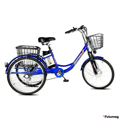 Электровелосипед трицикл РВЗ Чемпион (RVZ-HZ-01) черный