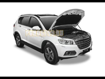 Амортизаторы капота, 2 шт. для Haval H6 (2014-2019)