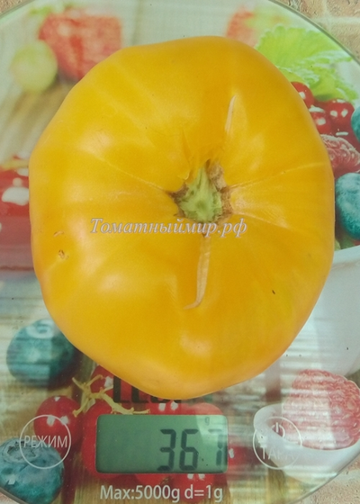 Томат Крем-Торт