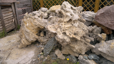 Известняк морской Туф