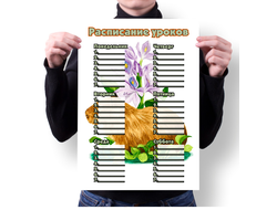 Расписание уроков вертикальное Капибара, Kapibara-san №27