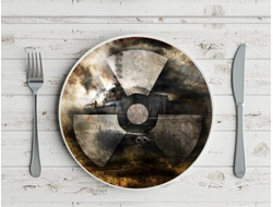 Тарелка Stalker/ Сталкер №1