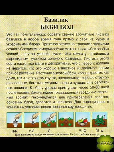 БАЗИЛИК "БЕБИ БОЛ"