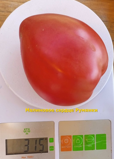 Томат Малиновое сердце Румянки (Malinowe Serce Rumianki)