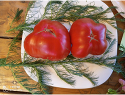 Томат Burgess Improved Colossal Red