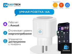 Умная wifi розетка, с таймером, Яндекс Алисой, Марусей, Google Assistan