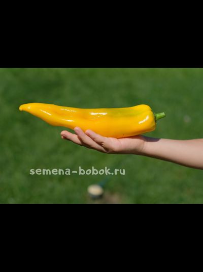 Перец  Самсон, 10 шт