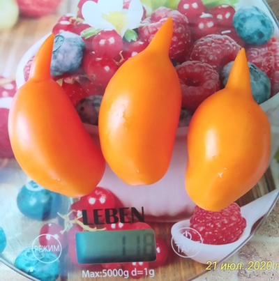 Томат Сокровище (Akmore Treasure)