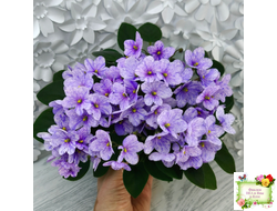 ГЕА-Весёлый Клоун (Е. Галицкая) 2024 г. трейлер