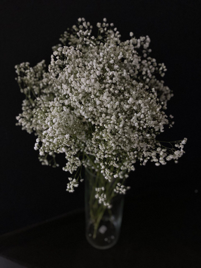 Гипсофила белая 11 шт