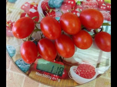 Томат Суинг Тинг Грейп (Swing Ting Grape)