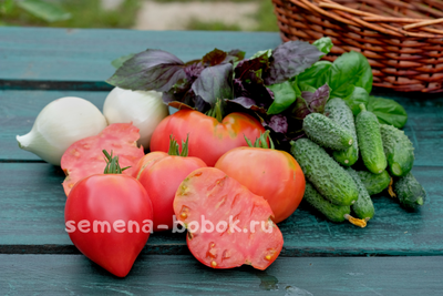 Томат Японка , 10 шт