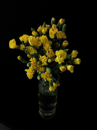 Гвоздика кустовая 15 шт