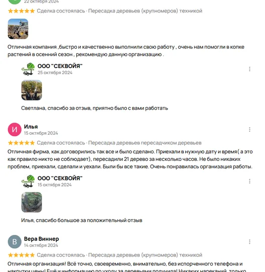 Отзывы из Авито