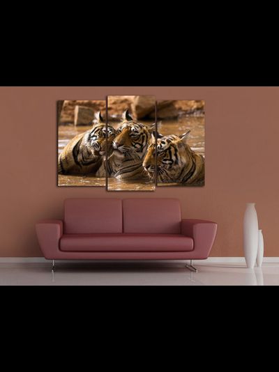 Модульная картина "Тигры в воде"