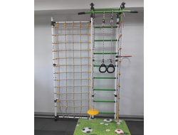 Дск Гамма с сеткой