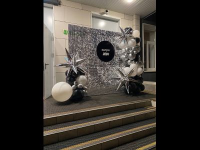 Фотозона из шаров с пайетками 2 на 2 м