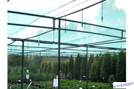 Полив контейнерной площадки верхним микродождеванием